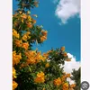ar_love14