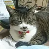 suhichi39