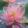 nguyen_thu1010