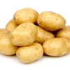 potato34252