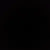 seba_paci