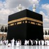 om_majed__