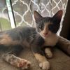 kitsplace2
