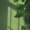 wikyx2_