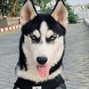 hera_kirana