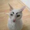 uhwhatwhowhen
