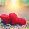 syed_sakhi