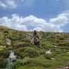 abdullah_barekzai