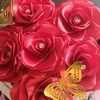 ailine_mary