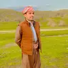 alibarzani70