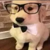 luscaem480p