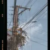ngctuyn1704