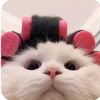 meoooww5