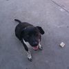 marguerite_gomez123