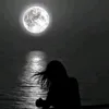 82moonlight__