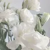 shnashna31