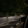 jojo___421
