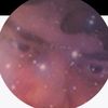 twitch.tvsaeedasmr