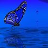 _faazza5