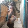 palomacastro614