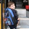stepbrody
