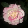user9mbyekpk8t