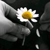 suskun.adam_47