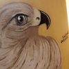مصور رايق