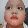 pineapplexprss