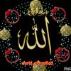 zid123654