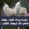 userqnpnb9xf4b