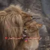 alrooh_rooh
