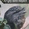 angrybirdreject