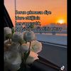 sessiz7929