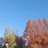30988800105