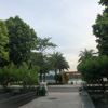 longlong_8888