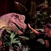dinobrodi