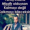 koray776832558