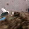 jerry10o0