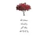 noufa_6