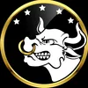 americanbullsbr