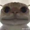 ngiconxax56