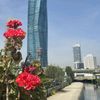 derya_ipek_sincar