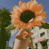 hangleelee