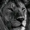 rachid.banaabar