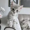 Marley