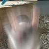 domesticatedworm89