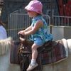evy_equestrian