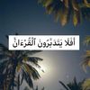 تلاوات قرآنية ❄️
