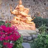 lehoangminhsg11
